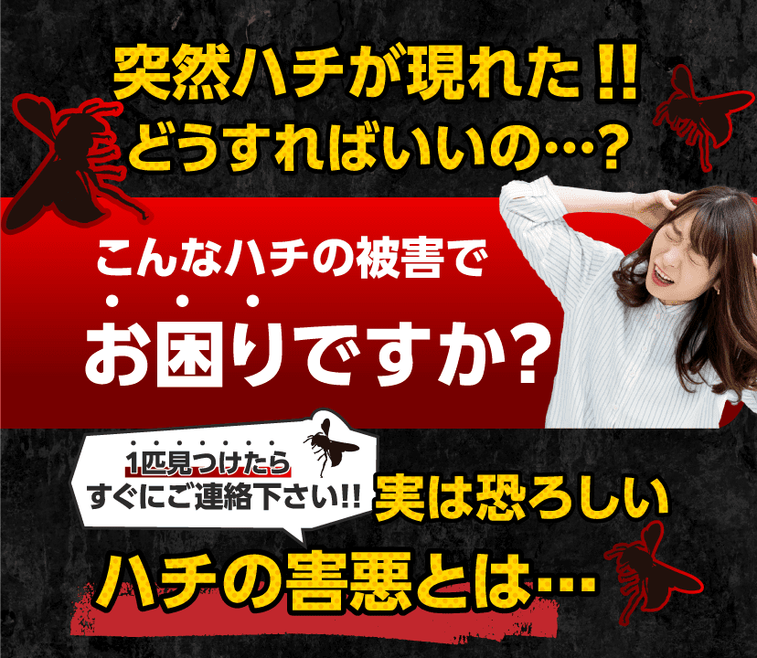 突然ハチが現れた！どうすればいいの…？こんなハチ被害でお困りですか？1匹見つけたらすぐにご連絡ください！実は恐ろしいハチの害悪とは…